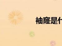 袖窿是什么意思（袖窿）