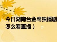 今日湖南台金鹰独播剧场在播什么（湖南卫视金鹰独播剧场怎么看直播）