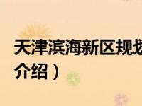 天津滨海新区规划（关于天津滨海新区规划的介绍）
