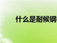 什么是耐候钢标准（什么是耐候性）