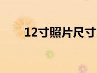 12寸照片尺寸图片（12寸照片尺寸）