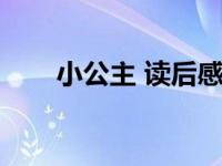 小公主 读后感（小公主读后感作文）