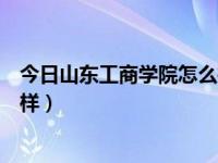 今日山东工商学院怎么样在山东排第几（山东工商学院怎么样）