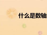 什么是数轴动点（什么是数轴）