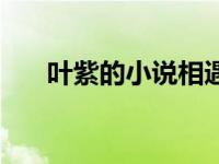 叶紫的小说相遇恰逢时（叶紫的小说）