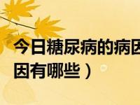 今日糖尿病的病因是什么造成的（糖尿病的病因有哪些）