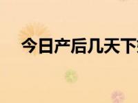 今日产后几天下奶充足（产后几天下奶）