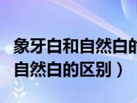 象牙白和自然白的粉底液哪个更好（象牙白和自然白的区别）