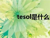 tesol是什么考试（tesol是什么）