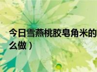 今日雪燕桃胶皂角米的功效与作用做法（雪燕桃胶皂角米怎么做）