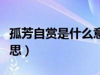 孤芳自赏是什么意思造句（孤芳自赏是什么意思）