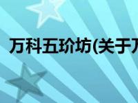 万科五玠坊(关于万科五玠坊当前房价介绍) 