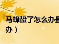 马蜂蛰了怎么办最有效的方法（马蜂蛰了怎么办）