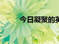 今日凝聚的英语（凝聚的近义词）