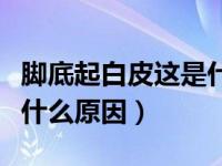 脚底起白皮这是什么原因引起（脚底起白皮是什么原因）