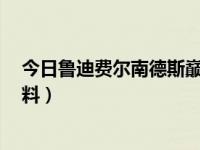 今日鲁迪费尔南德斯巅峰什么水准（鲁迪 费尔南德斯的 资料）