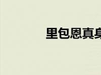 里包恩真身（里包恩的资料）