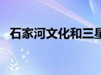 石家河文化和三星堆哪个早（石家河文化）