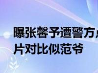 曝张馨予遭警方点名 模仿范冰冰整容前后照片对比似范爷