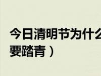今日清明节为什么要踏青郊游（清明节为什么要踏青）