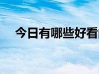 今日有哪些好看的书（有哪些好看的书）