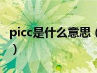 picc是什么意思（关于picc是什么意思的介绍）