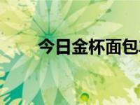 今日金杯面包车二手（金杯面包车）