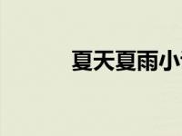 夏天夏雨小说（夏天夏星星辰）