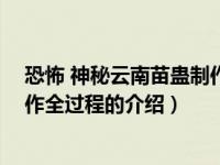 恐怖 神秘云南苗蛊制作全过程（关于恐怖 神秘云南苗蛊制作全过程的介绍）