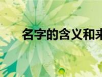名字的含义和来历作文（名字的含义）