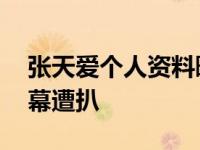张天爱个人资料曝光疑似整容 前男友劈腿内幕遭扒