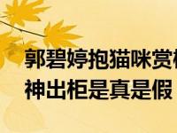 郭碧婷抱猫咪赏樱一改“鼻孔好大”评价 女神出柜是真是假