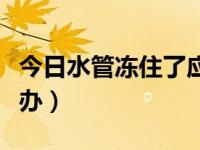 今日水管冻住了应该怎么办（水管冻住了怎么办）