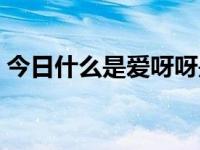 今日什么是爱呀呀是什么歌（什么是爱呀呀）