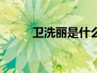 卫洗丽是什么东西（卫洗丽简介）