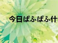 今日ぱふぱふ什么意思（あの什么意思）