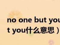 no one but you是表达爱意吗（no one but you什么意思）