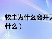 牧尘为什么离开灵路（牧尘在灵路中究竟做了什么）