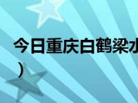 今日重庆白鹤梁水下博物馆门票（白鹤梁门票）