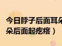 今日脖子后面耳朵后面起疙瘩（为什么脖子耳朵后面起疙瘩）