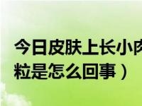 今日皮肤上长小肉粒是怎么了（皮肤上长小肉粒是怎么回事）