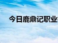 今日鹿鼎记职业等级（鹿鼎记职业选择）