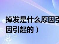 掉发是什么原因引起的怎么办（掉发是什么原因引起的）