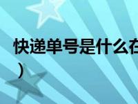 快递单号是什么在哪里查看（快递单号是什么）