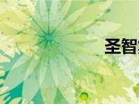 圣智集团（圣智）