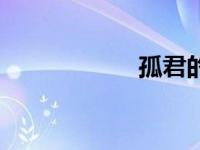 孤君的作品（孤君）