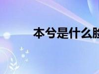 本兮是什么脸型（本兮整容前后）
