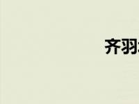 齐羽塔罗（齐羽）