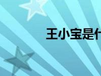 王小宝是什么动漫（王小宝）