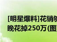 [明星爆料]花销够买套房？王思聪被曝唱K一晚花掉250万(图)